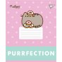 Зошит учнівський шкільний Yes Pusheen Candy А5 12 аркушів лінія