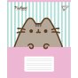 Зошит учнівський шкільний Yes Pusheen Candy А5 18 аркушів лінія